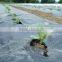 black mulch plastic mulch film for agriculture