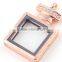 Crystal Perfume Bottle Floating Clear Locket Pendant
