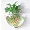Ecofriendly Decorative Wall Mounted Clear Acrylic Aquarium