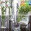 wholesale clear square glass vase , vase glass ,glass flower vases