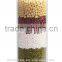cylinder shaped glass jar,transparent glass jars