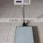 600 LB Weight Computing Scale Digital Floor Platform Warehouse weihging scale