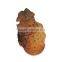 Block Set of Guangzhou Toys about Ancient Script Dig Kit