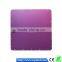 High Power 600W Plant Grow Light Red and Blue Light Energy Saving