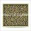 Millets from Indian Supplier