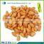 dried bitter apricot kernel