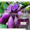 GMP Factory Supply High Quality and Natural Purple Sweet Potato Color