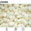 Frozen IQF garlic dices/slices/clove/crushed,Grade A