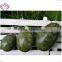 50*40mm Natural Drilled Jade Eggs jade egg weight for Kegel Exercise
