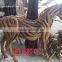 Tree Root Wood Horse