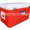 33L portable plastic cooler box vaccine box