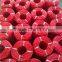 3 Strand Twisted PP Rope