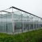 vegetable greenhouses for sale/greenhouses for roses/vegetable seeds greenhouse