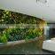 2015 High Quality Factory price Plastic/Artificial Plant Wall decorative wall hanging