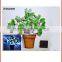 hot sale solar lighted antique wall hanging metal with flower design wall light for outdoor decoration