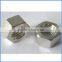 High quality gavalnized carbon steel hexagon head nut