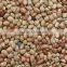 Kulthi Dry Extract