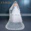 birdcage bridal veil pictures