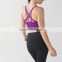 Custom 88% Polyester 12% Spandex Sexy Bra Purple Gym Wear for women