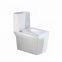 Chinese ceramic one piece wc toilet dual flush valve