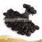 Good Quality Fumi Hair,Fashion rose Curl Human Hair Extension