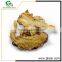 high quality cheap medicinal material angelica root extract