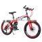 Folding Mountain Bikes For Adults Bicycle Mountain Bike Folded Bicicleta MTB Mountain Bike