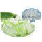 Fresh Diced Aloe Vera/100% Natural Fresh Aloe Vera Leaves/Aloe Vera have amazing proprieties from Vietnam