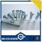 High Quality Hot-sale Most Popular Hollow Rivet Nut