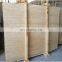 Premium Quality Custom cut size wholesale Transparent Resin Filled Travertine Vein Cut Made in Turkey