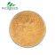 Dong Quai Root Extract Chinese Angelica Extrat Sinensis Dong Powder Ligustilide Powder