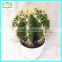 25cm high quality real touch artificial succulent plants