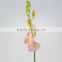 Alibaba china latest fresh pink color cattleya orchid flower