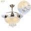 LED Light Inbuilt Classic Design Ceiling Fan