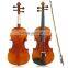 Full Size Student Violin Starter Kit(Bow,String,Case,Shoulder Rest,Rosin)