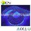waterproof 12mm lower price and high quality led pixel light string ip65