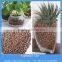 Soiless LECA clay pellets for hydroponic and aquarium