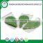 High quality Sushi tools wholesale Baran plastic Sushi decoration with green leaf