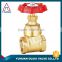 top quality manufacture prolong BSP thread stem russian gost gate valve                        
                                                Quality Choice