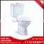 New Products on China Market That Toilet Suite and Automatic Toilet Flush