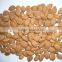 roasted apricot kernels raw flavor with good quality for sale