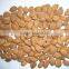 Supply Bulk Sweet Apricot Kernels with Youyi Type