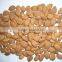 Supply Bulk Sweet Apricot Kernels with Youyi Type