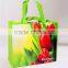 reusable bag,fashion shopping bag,reusable pp laminated shopping bag