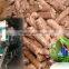 Hot sale biomass wood pellet mill