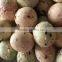 HACCP Certified Wasabi Coated Peanuts