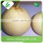 HACCP passed. chinese bulk export fresh ya pear