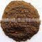 Indian Valerian Rhizame powder