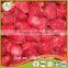 Frozen Strawberry best selling products