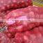 China New Crop Fresh Onion